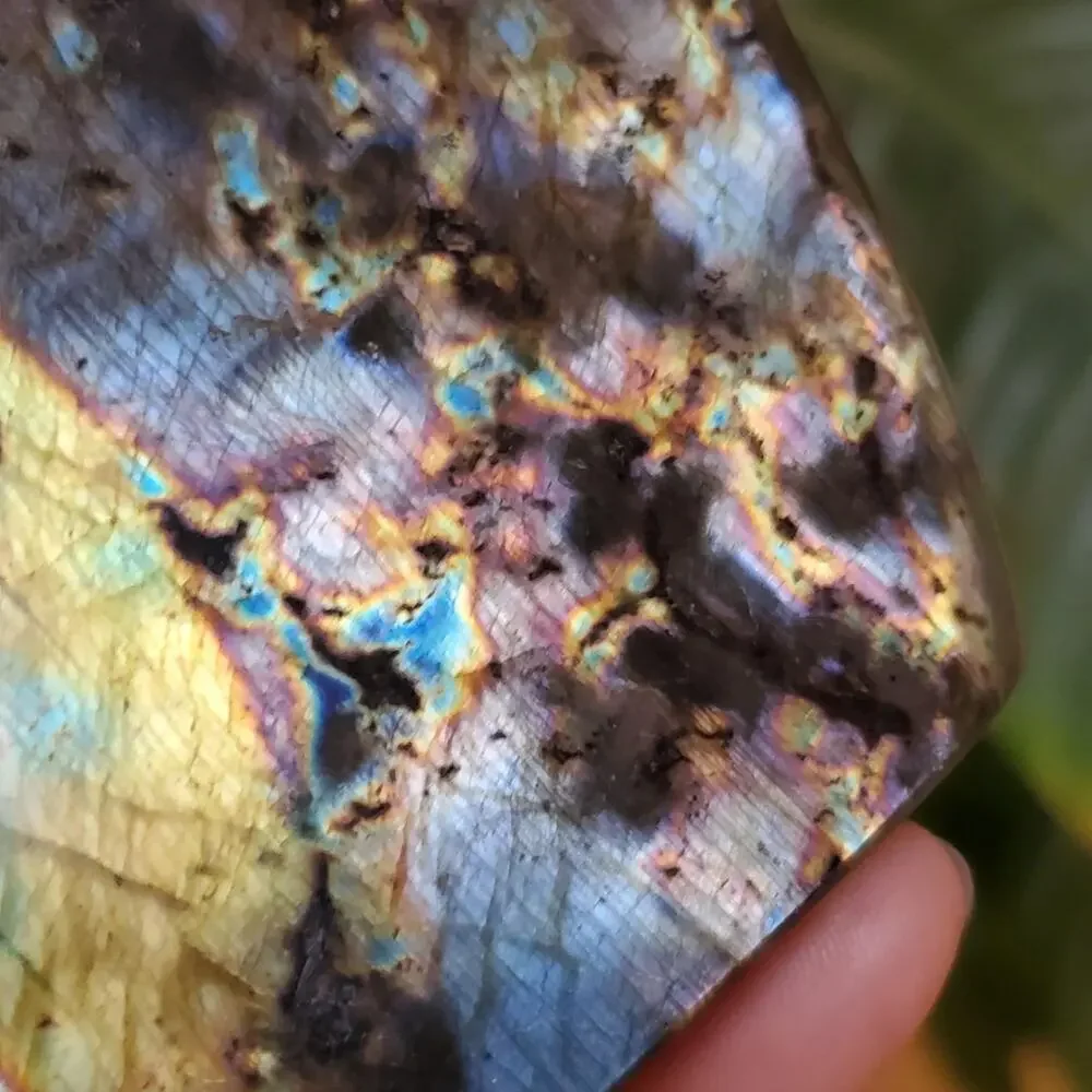 Labradorite 